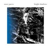 Bright Shadows cover