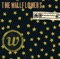 God Don't Make Lonely Girls - The Wallflowers lyrics