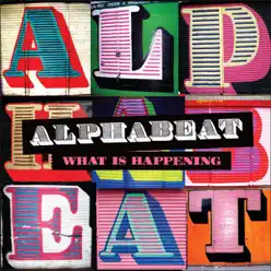What Is Happening (International Version) - Single - Alphabeat