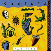 Pacifico artwork
