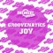 Joy (Bingoplayers Dub) - Groovenatics lyrics