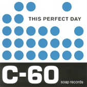 This Perfect Day - Could Have Been Friends