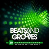 Beats And Grooves (30 Top House Tunes), Vol. 3
