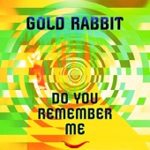 Do You Remember Me artwork