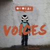 Voices - Single