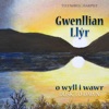 Gwenllian Llŷr - Flying With the Birds