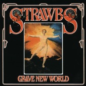 The Strawbs - New World