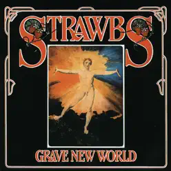 Grave New World (Remastered) - The Strawbs