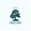 Crazy Love - Single, 2018