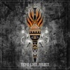 Turn Your Flame into Fire - Single
