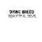 Beautiful Devil - Dying Breed lyrics