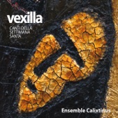 Vexilla (Canti della Settimana Santa) artwork