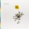 Afternoon - Max Ananyev lyrics