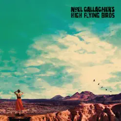 It's A Beautiful World (Radio Edit) - Single - Noel Gallagher's High Flying Birds It's A Beautiful World (Radio Edit) - Single - Noel Gallagher's High Flying Birds