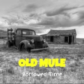 Old Mule - Canvas