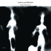 José Luis Montón - Conclusión