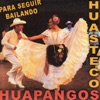 Huapangos Huastecos Para Seguir Bailando