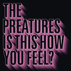 Is This How You Feel - EP - The Preatures