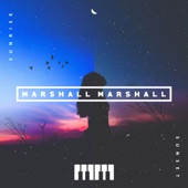 It's Your Love (Marshall Marshall Remix) artwork