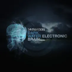 Dark Water / Electronic Brain - Single by Tantrum Desire album reviews, ratings, credits