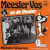 Meester Waarom - Single