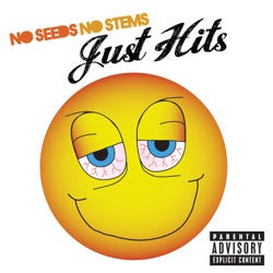 Afroman - Because I Got High