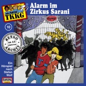 Folge 10: Alarm im Zirkus Sarani! artwork