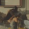 Stay Down (feat. Shaina) - Jeff Taylor lyrics