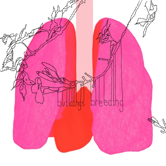 Cover artwork for Polish Barely Holds