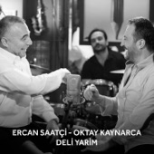 Deli Yarim (feat. Oktay Kaynarca) artwork