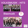 Volksmusik-Hits: Blasmusik, Vol. 5
