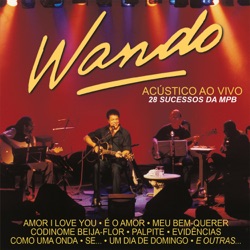 Wando - O último romântico