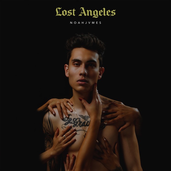 Cover artwork for Lost Angeles