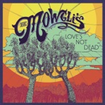 San Francisco by The Mowgli's