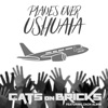 Planes over Ushuaia (feat. Zach Alwin) - Single