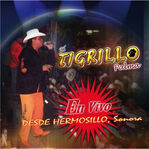 El Tigrillo Palma Corrido de el Chapo / Tu Nuevo Carinito / La Botella / El Bazucaso