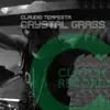 Crystal Grass song lyrics