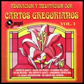 Cantos Gregorianos, Vol. 1 artwork