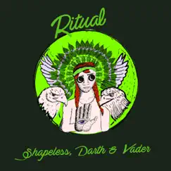 Ritual - Single by Shapeless & Darth & Vader album reviews, ratings, credits