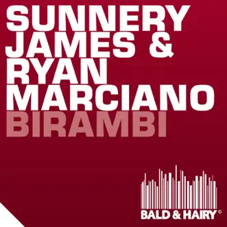 Birambi by Sunnery James & Ryan Marciano song reviws