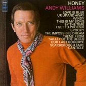 Andy Williams - Our Last Goodbye