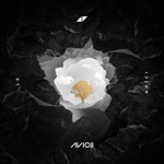 Without You (feat. Sandro Cavazza) by Avicii