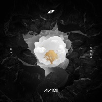 Avicii & Sandro Cavazza - Without you