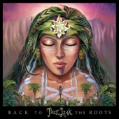Back to the Roots artwork