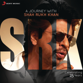 A Journey with Shah Rukh Khan (Celebrating 25 Years) - Vários intérpretes