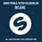 Insane (Baggi Begovic & Soul Conspiracy Remix) - David Penn & Peter Gelderblom lyrics