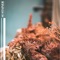 Sustainer (feat. Kes Pereira) - Jake James lyrics