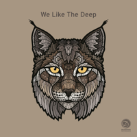 Various Artists - We Like the Deep artwork