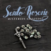 Santo Rosario: Misterios Gozosos artwork