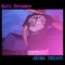 Akuma Dreads - Kali Dreamer lyrics